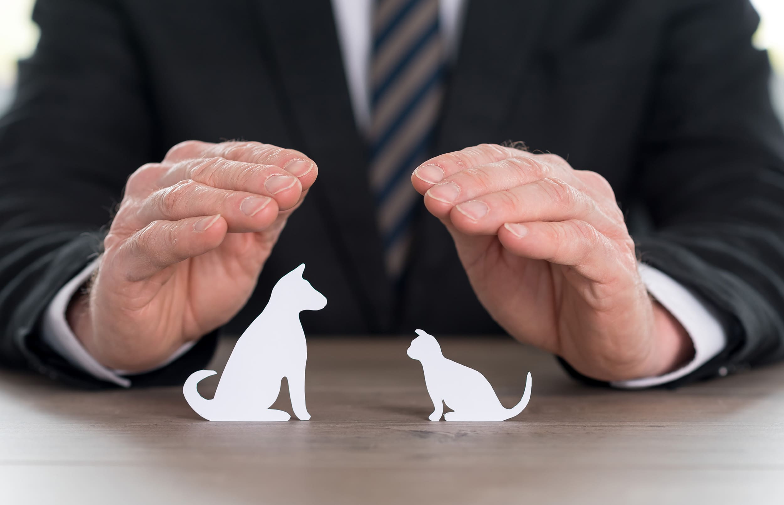 pet insurance romeoville il pet insurance romeoville il